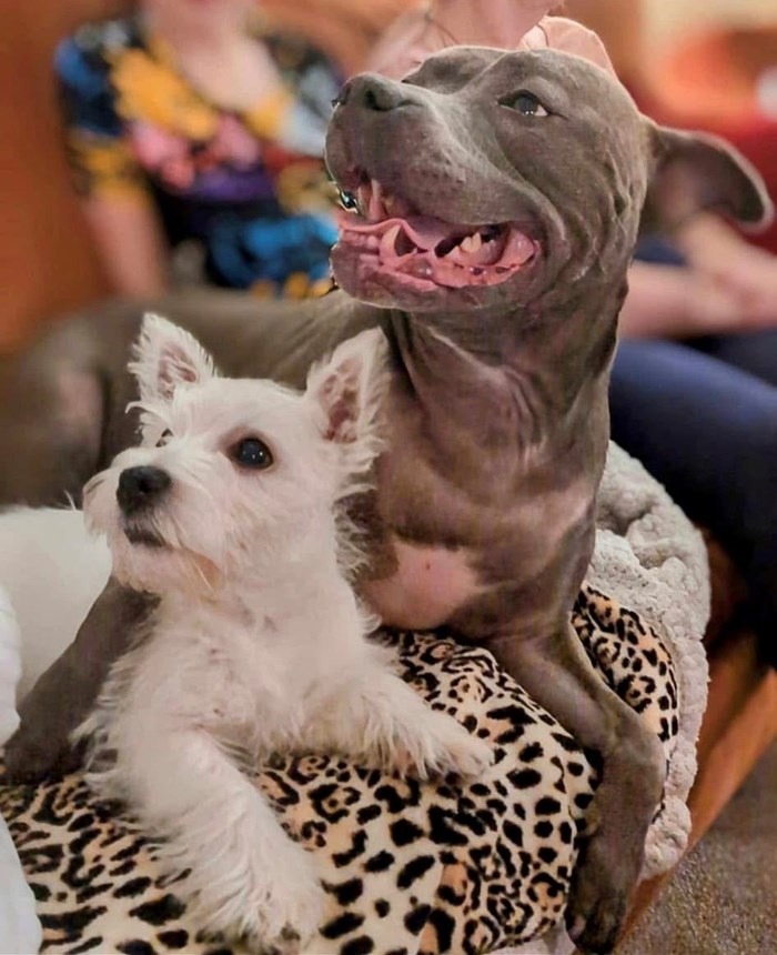 Floss and Millie